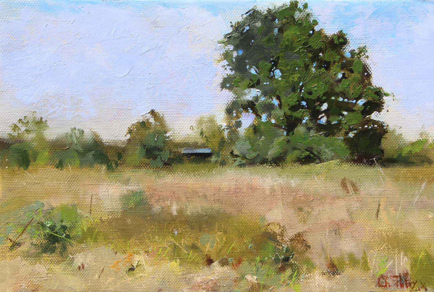 Paysage ensoleille - Cliquez sur l'image pour la fermer