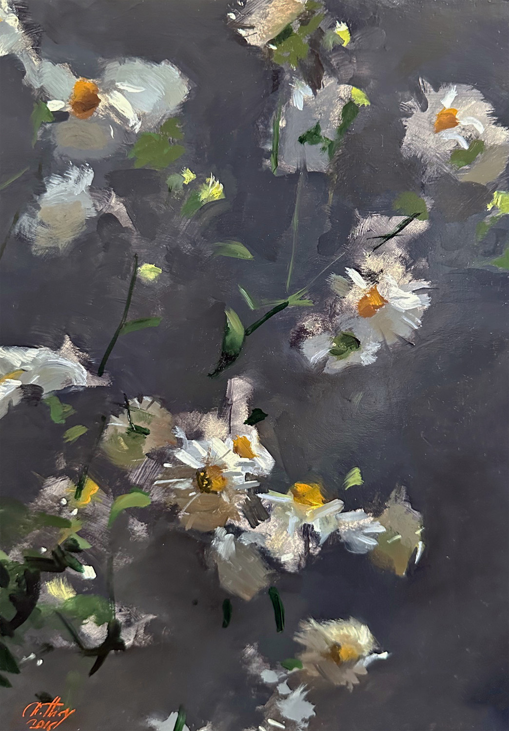 Asters - Cliquez sur l'image pour la fermer