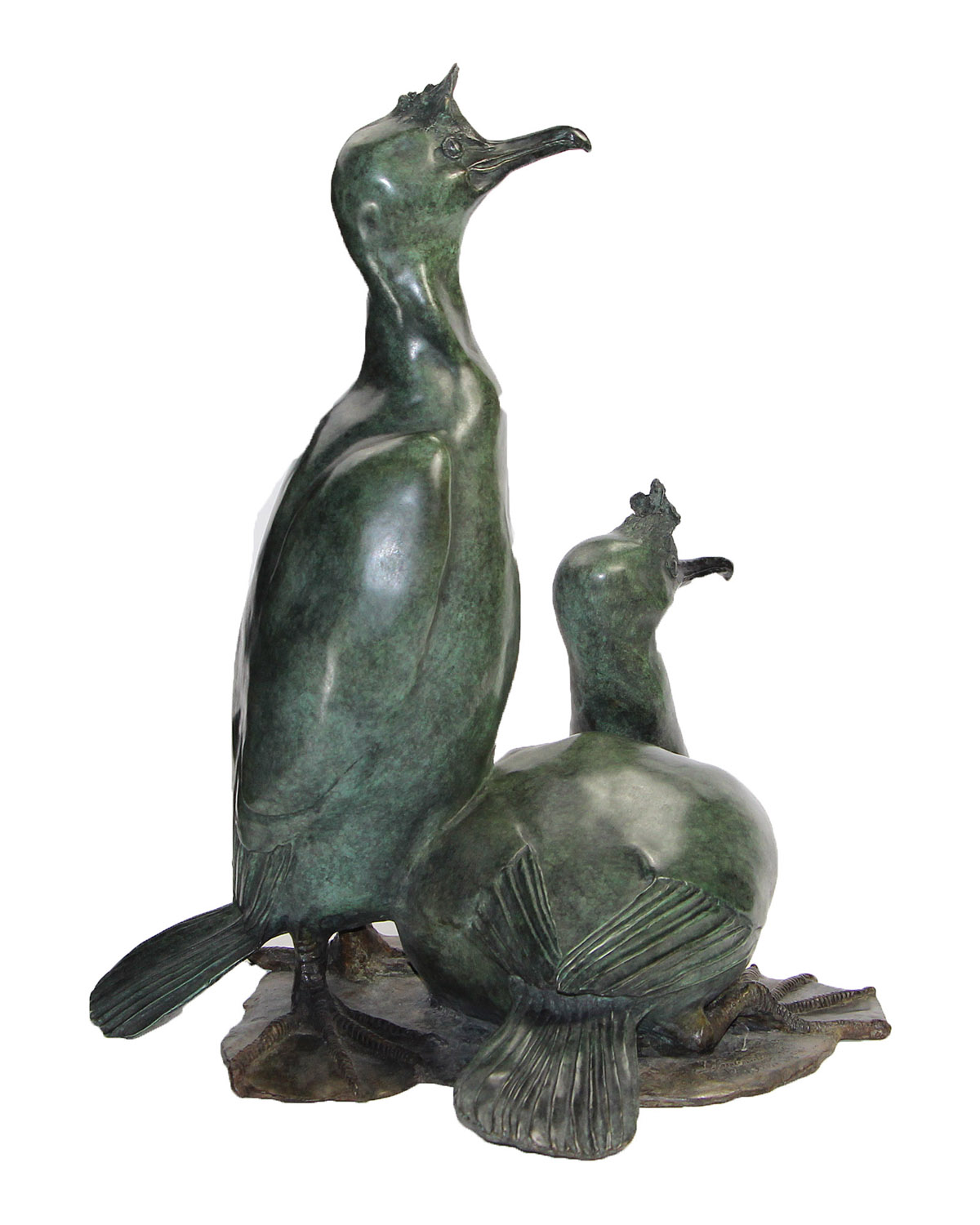 Couple de cormorans huppes - Cliquez sur l'image pour la fermer
