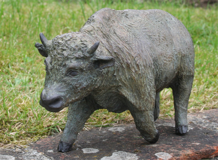 Veau de Yack - Cliquez sur l'image pour la fermer