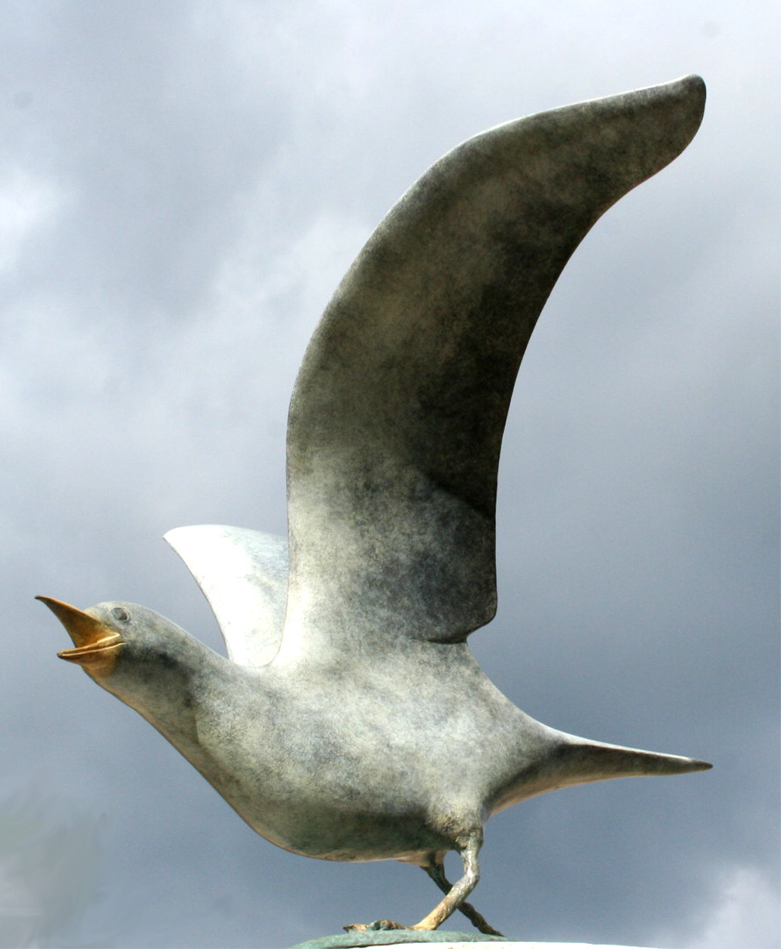 La mouette rieuse - Cliquez sur l'image pour la fermer