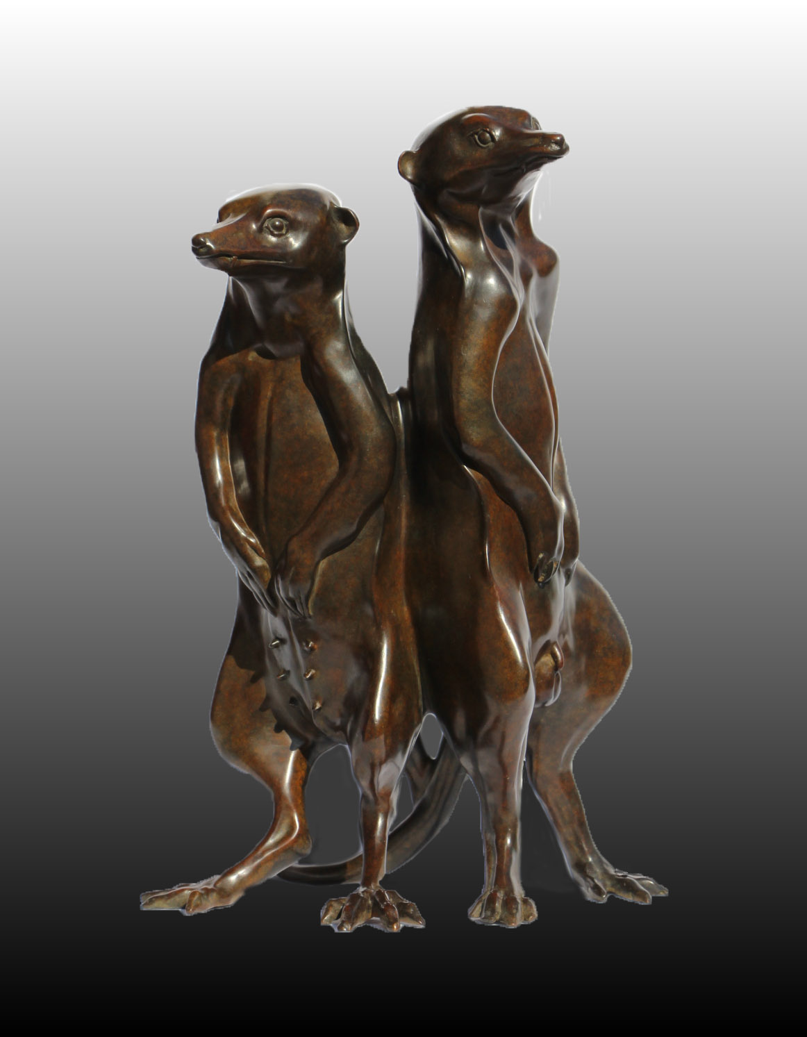 Couple de suricates - Cliquez sur l'image pour la fermer