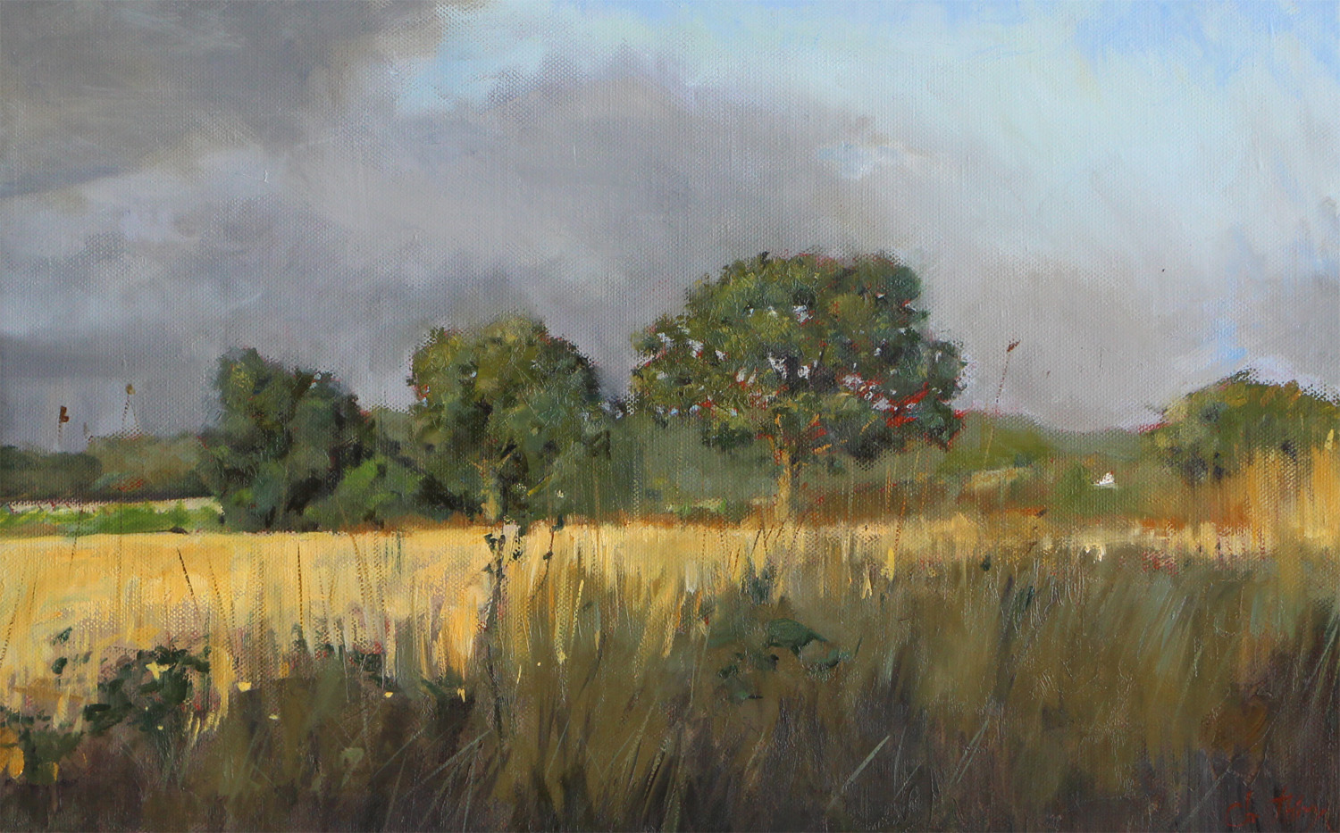 Paysage d ete - Cliquez sur l'image pour la fermer