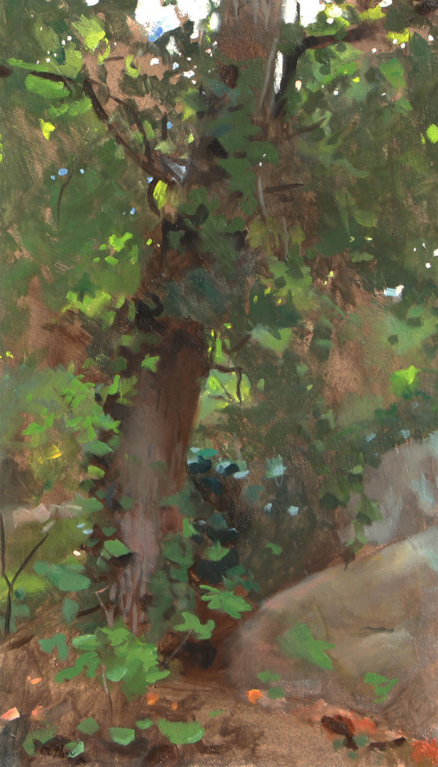 L arbre qui cache la foret - Cliquez sur l'image pour la fermer