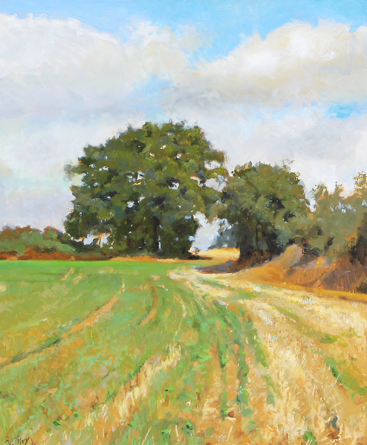 Campagne - Cliquez sur l'image pour la fermer